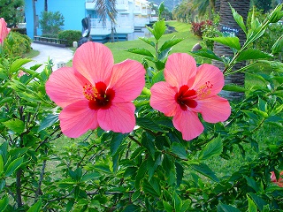 091120_02.jpg